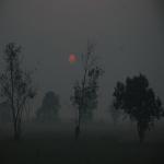 Vraj-Yatra-2014- (62)